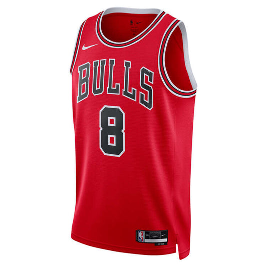 Chicago Bulls Icon Jersey 2023/24